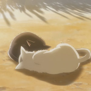 котики – Neko to Ryuu